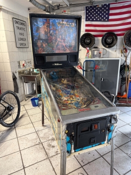 Williams Tales of the Arabian Night TotAN Flipper