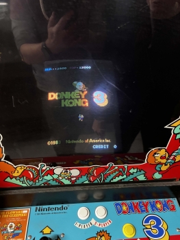 Nintendo Donkey Kong 3 Arcade Videospielautomat