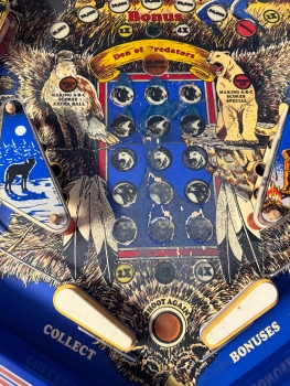 Bally Frontier Flipper