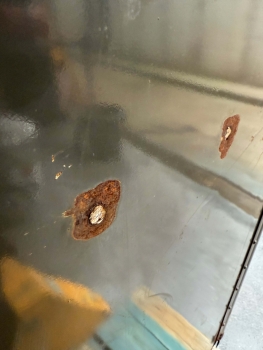 Preview: US Mail USPS Mailbox Briefkasten USA