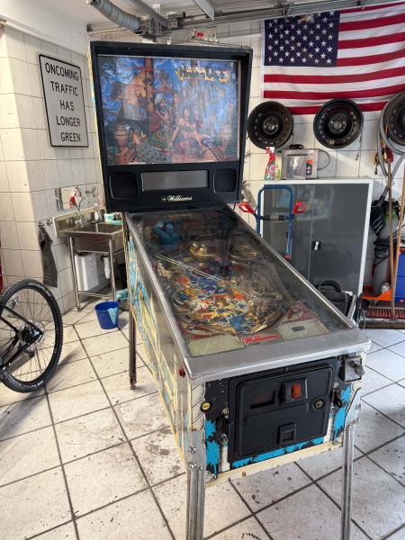 Williams Tales of the Arabian Night TotAN Flipper