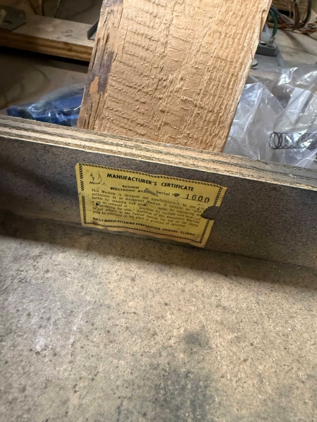 Bally Fathom Flipper