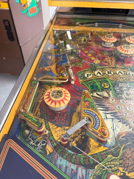 Bally Paragon Widebody Flipper