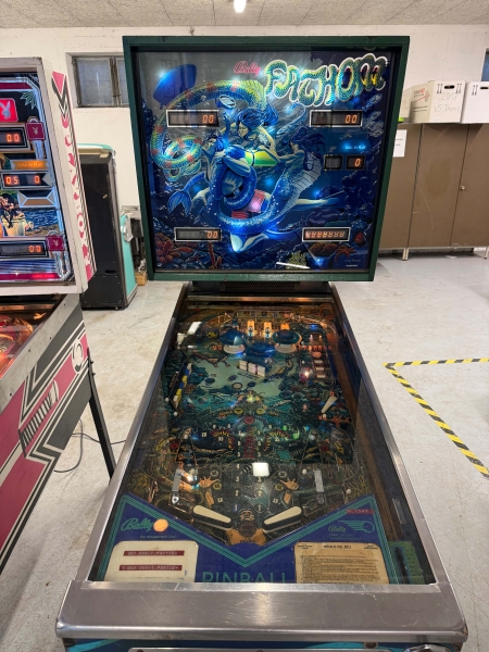 Bally Fathom Flipper