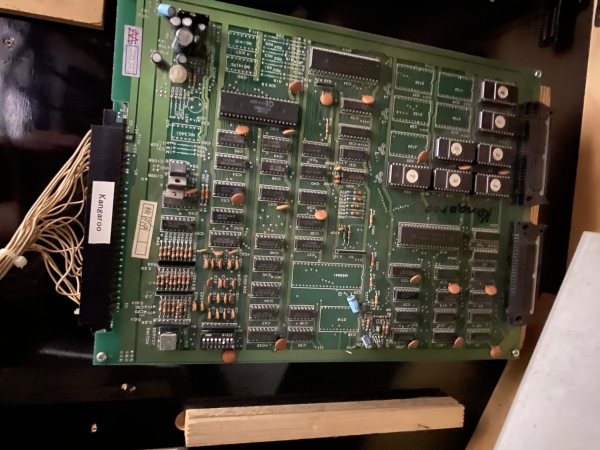 Zaccaria Kangaroo & Lady Bug Arcade Videospielautomat