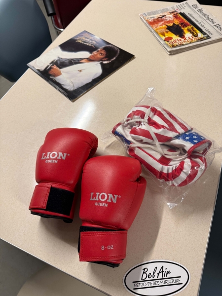 Retro Stand-Punchingball Boxtrainer mit 2 Paar Boxhandschuhen USA