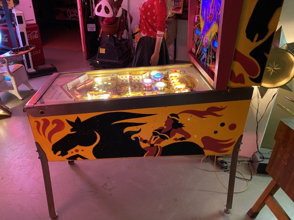 Gottlieb Solar Ride Flipper